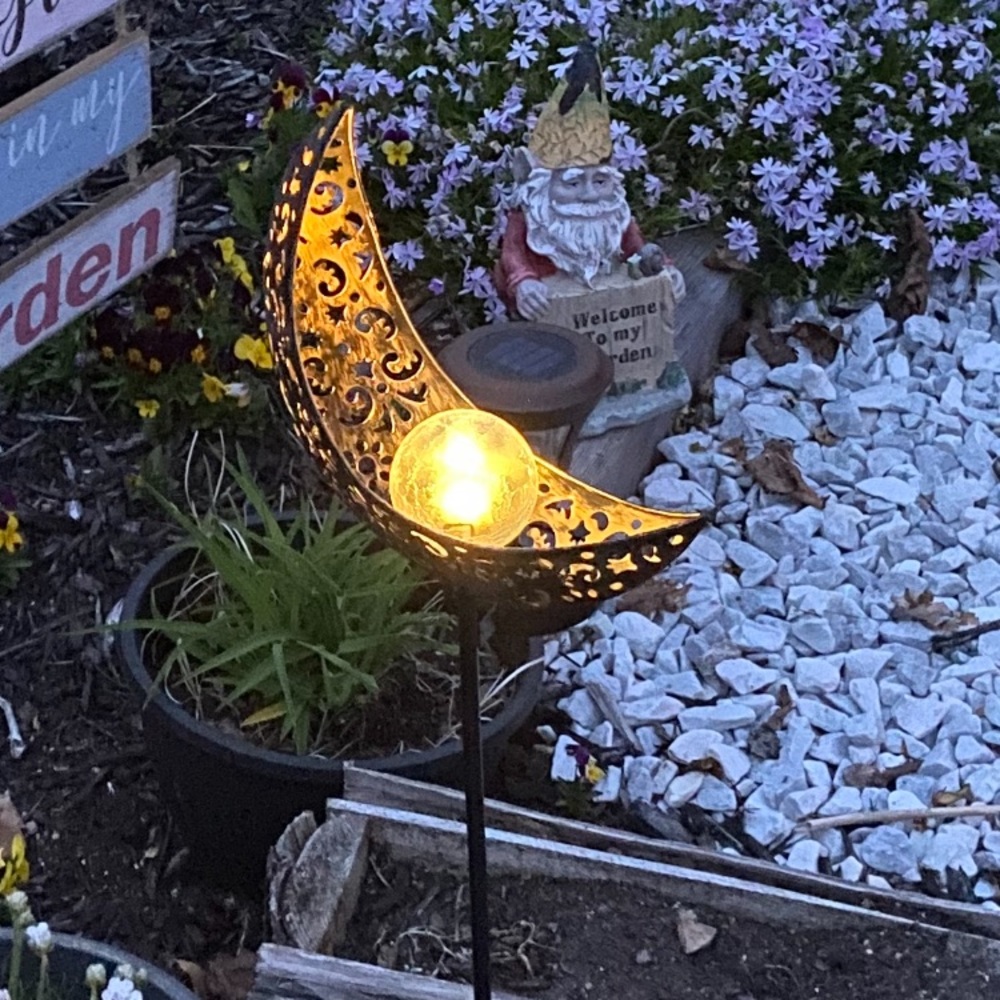 Meet your Posher, Rosie